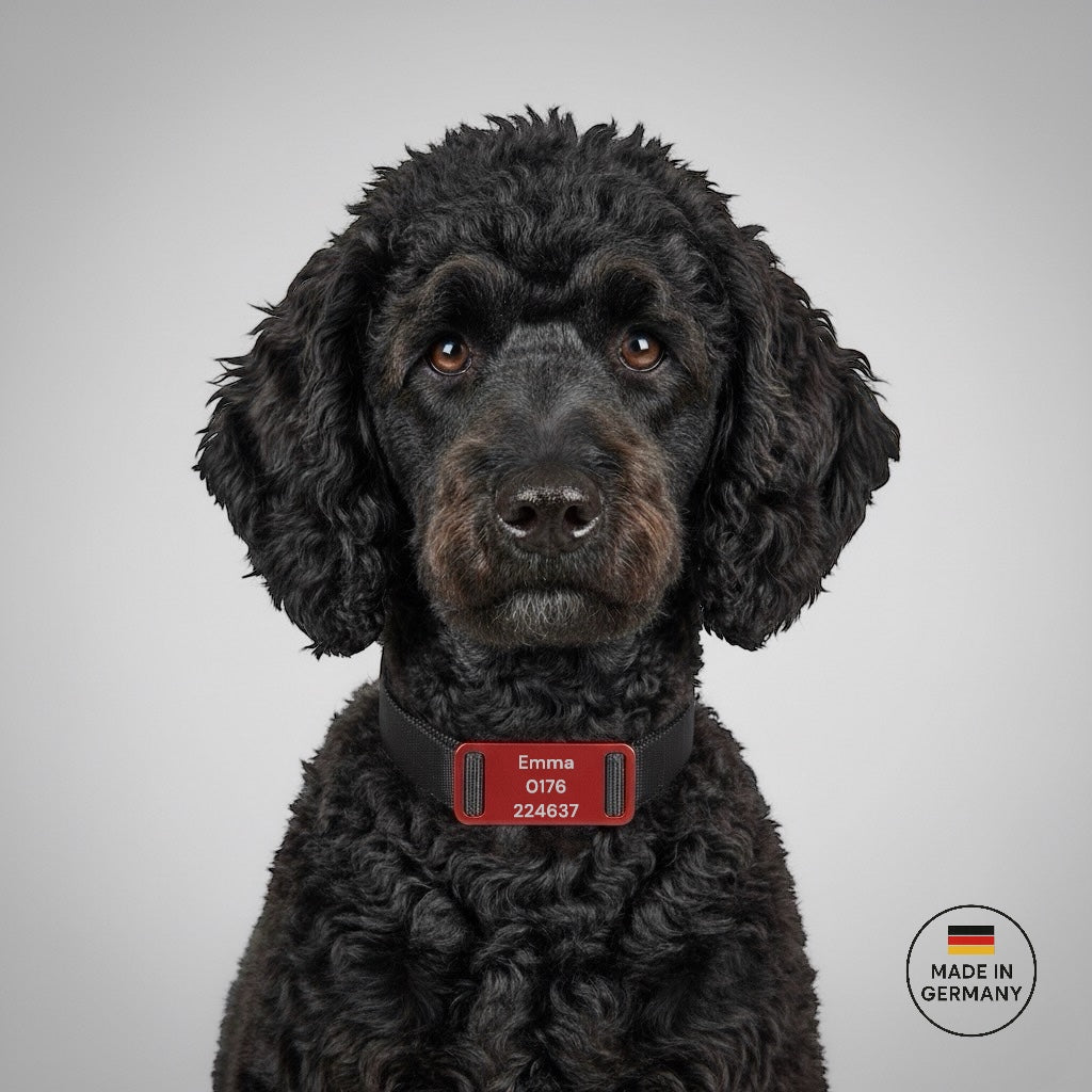 Aluminium Hundemarke für das Halsband gefertigt. inklusive beidseitiger Gravur: Name des Hundes und Adresse und Telefonnummer. Verfügbar in 10 Farben. Schnelle Lieferzeit 1-3 Tage.