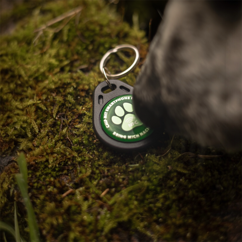NFC-Hundemarke Pro 2