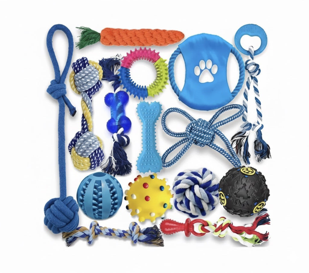 Hundespielzeug Set 10 Teile