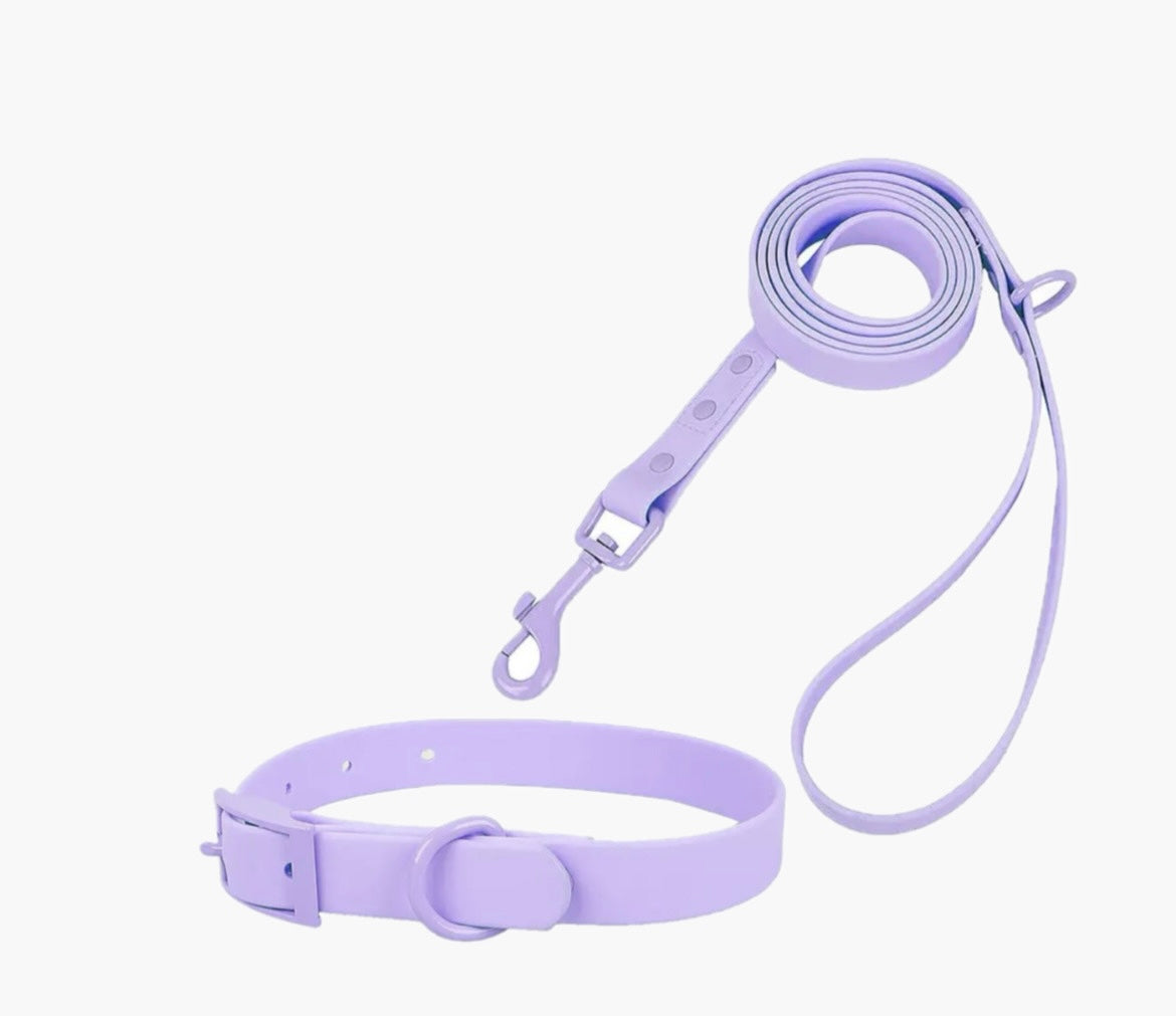 Pastell Halsbänder und Leinen mit Wunschgravur