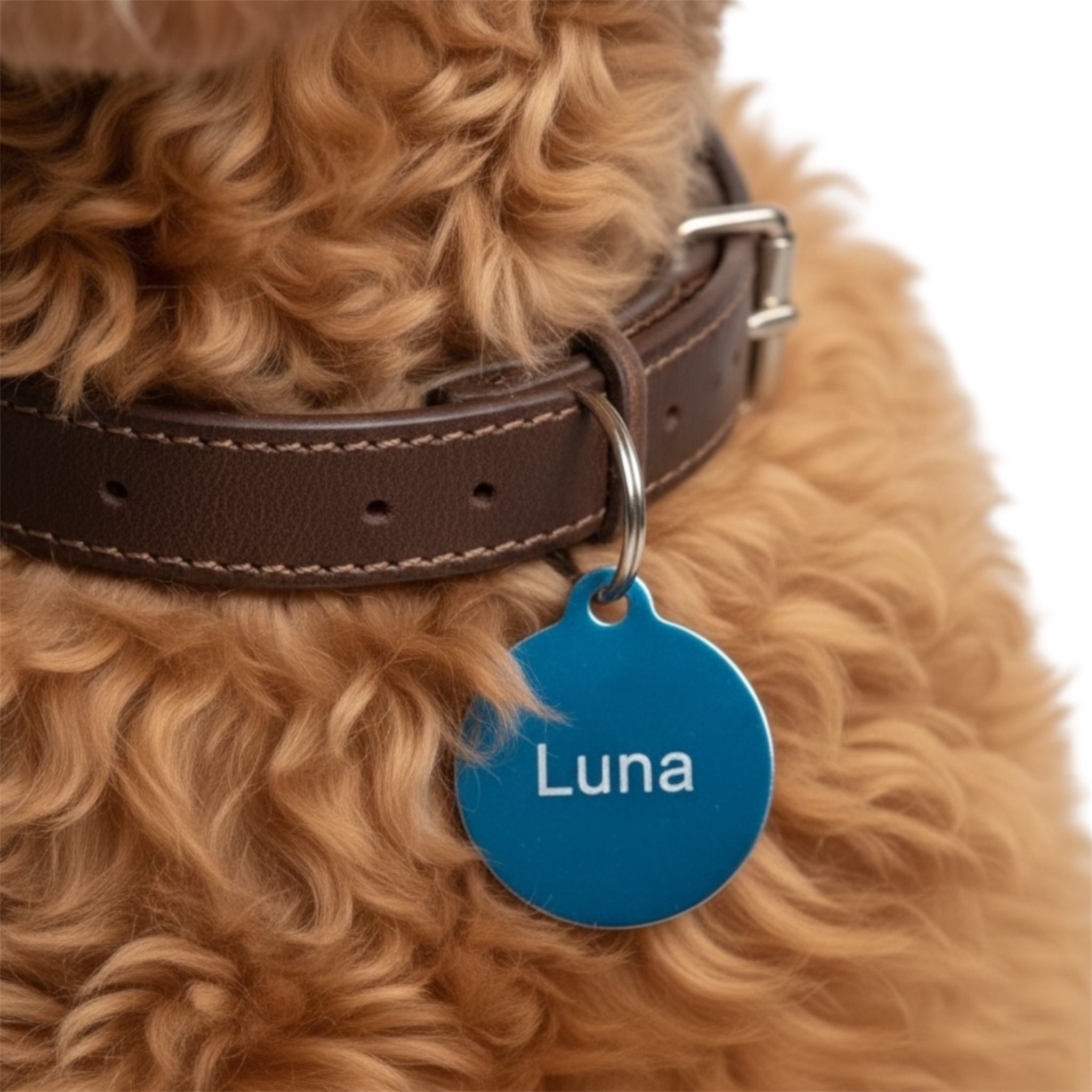 Hundemarke für Große Hunde XL Aluminium Hundemarke inklusive Gravur Kreisförmig