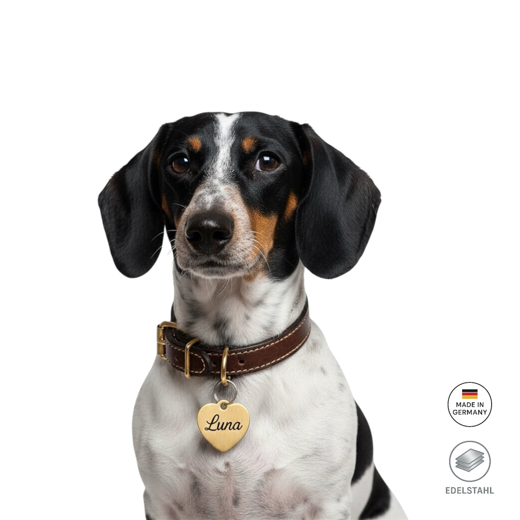 Herzförmige Edelstahl Hundemarke Mist kostenloser Gravur in 3 Farben verfügbar. Nur 1-3 Tage Lieferzeit.