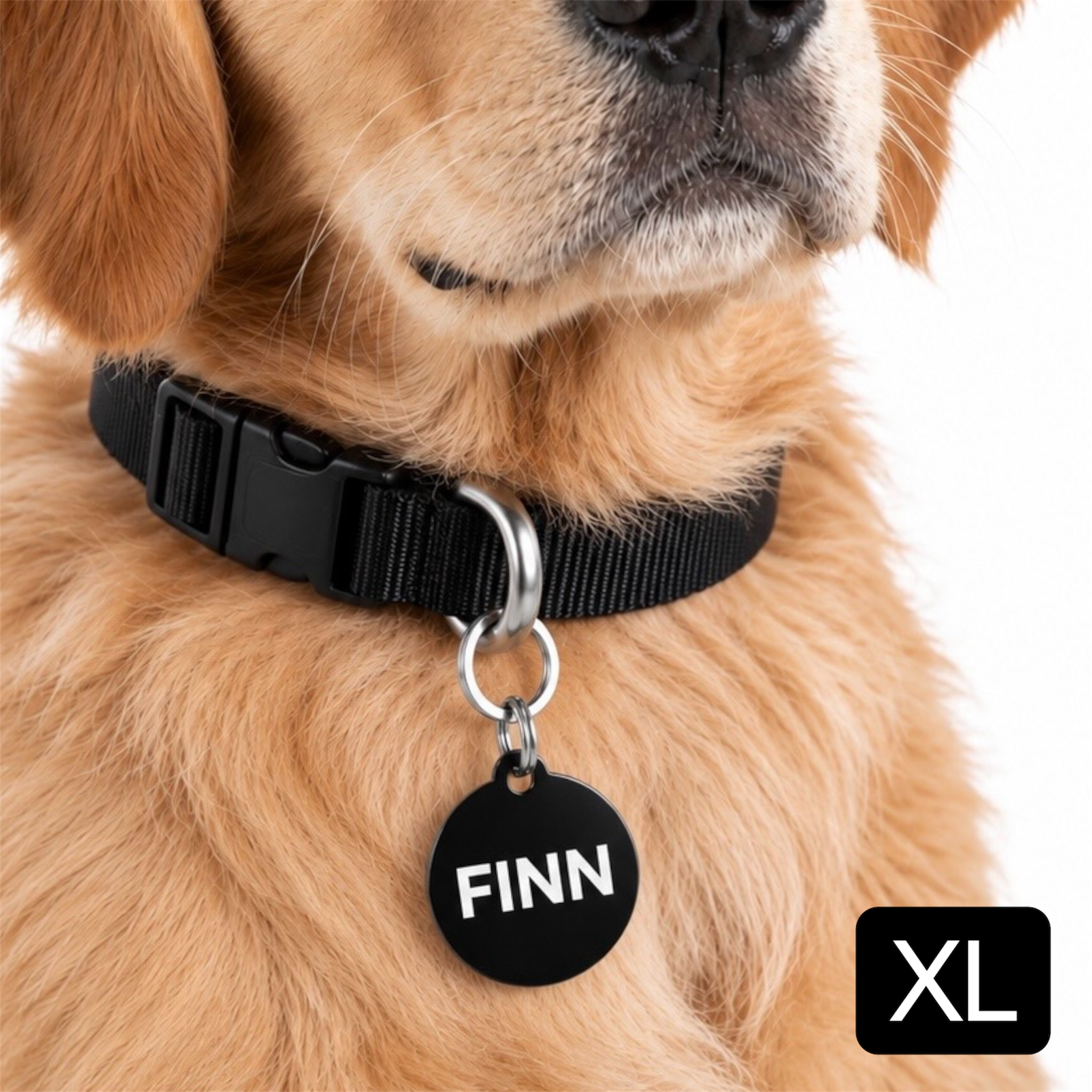 XL Aluminium Hundemarke für große Hunde 3,5x3,5cm groß inklusive Gravur. Hundemarke mit Gravur. Hergestellt in Deutschland.