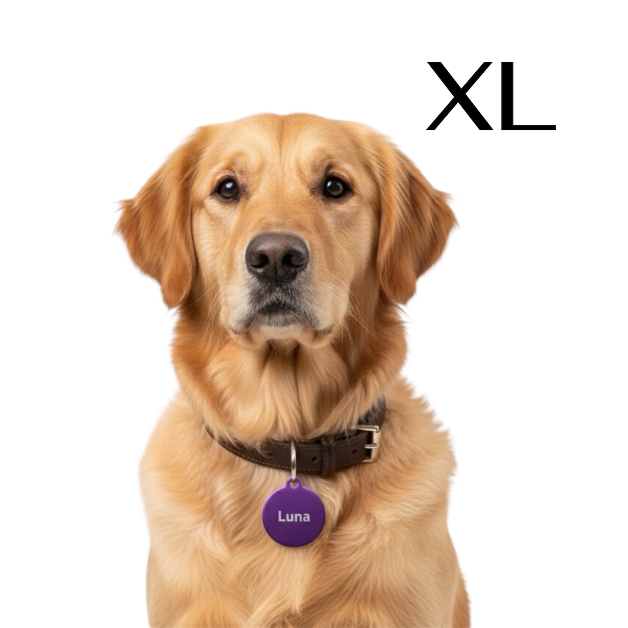 Große XL Aluminium Hundemarke kreisform inklusive Gravur für große Hunde