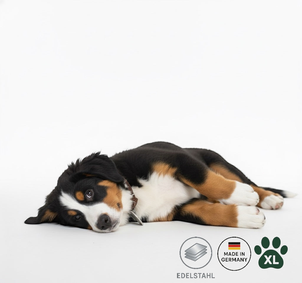 Edelstahl Hundemarke Rund XL personalisiert