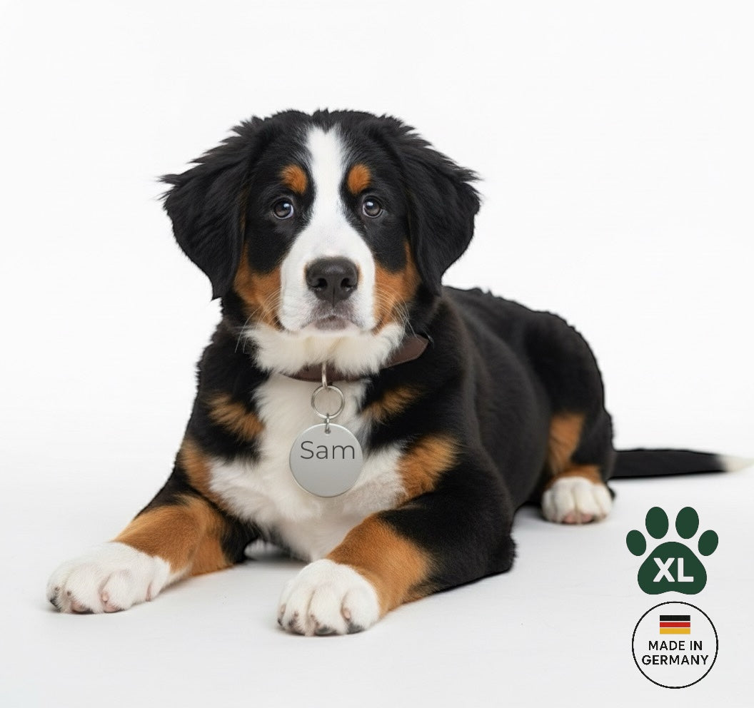 Herzförmige Edelstahl Hundemarke Mi Edelstahl Hundemarke Rund mit kostenloser Gravur in Silber verfügbar. Nur 1-3 Tage Lieferzeit.